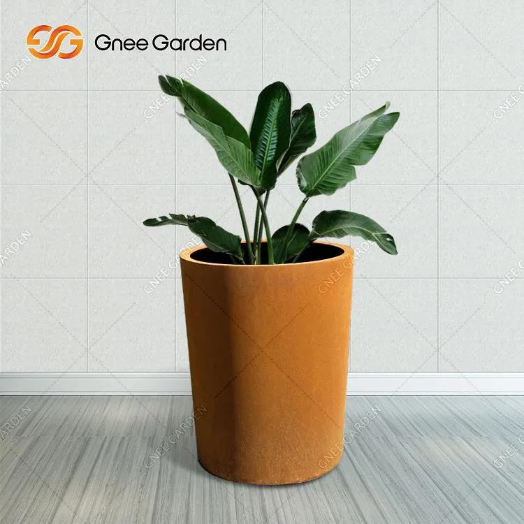 Цортен саднице велике